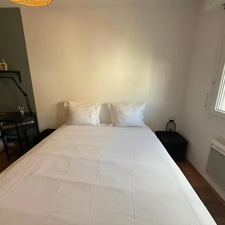 Appartement Petite France Avec 1 Parking Straatsburg