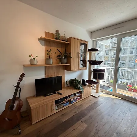 アパート Petite France Avec 1 Parking ストラスブール