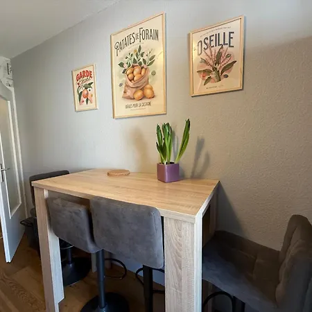 Apartment Petite France Avec 1 Parking *