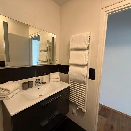 Petite France Avec 1 Parking * ストラスブール