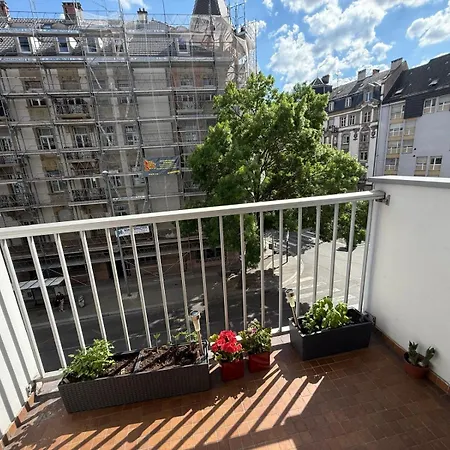 Apartment Petite France Avec 1 Parking *