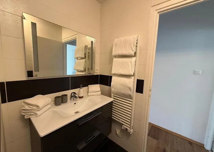 Petite France Avec 1 Parking * שטרסבורג